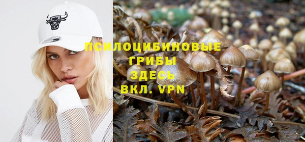 ешки Абаза