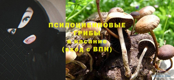 амфетамин Алексин